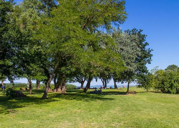 Francois By Interhome * Balatonberény